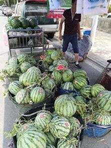 徽县吃瓜网红事件视频