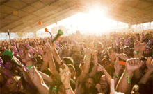 音乐节网红吃瓜,揭秘幕后故事与精彩瞬间