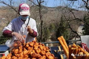 林州吃瓜网红爆料,揭秘当地美食背后的秘密