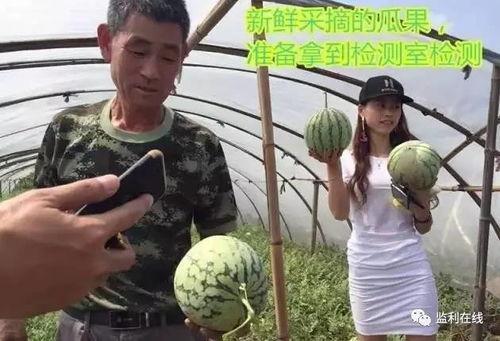 吃瓜群众网进不去了,网友热议幕后真相