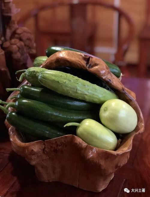 去哪里吃网红瓜好吃呢,解锁各地特色瓜果美味之旅